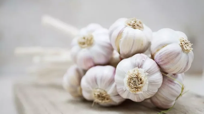 Here are some Garlic Recipes to Improve Your Health