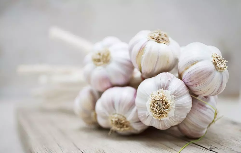 Here are some Garlic Recipes to Improve Your Health