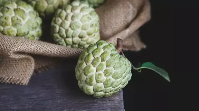 How to get the most value of Custard Apples